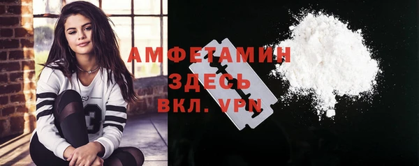 дмт Новозыбков