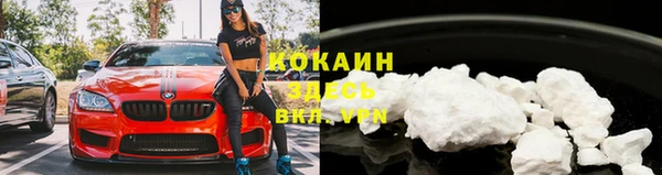дмт Новозыбков