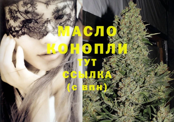 дмт Новозыбков