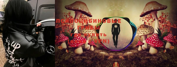 спиды Новокубанск