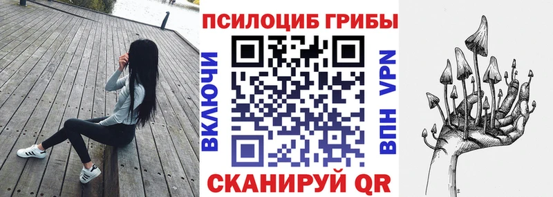 цены   Сурск  Псилоцибиновые грибы Magic Shrooms 
