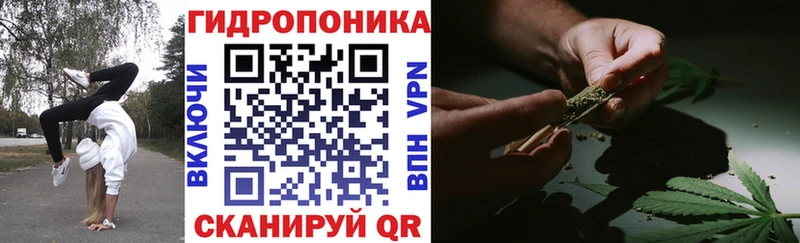где купить наркоту  Сурск  OMG как зайти  Каннабис план 